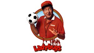 Ladybugs's poster