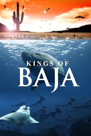Kings of Baja's poster