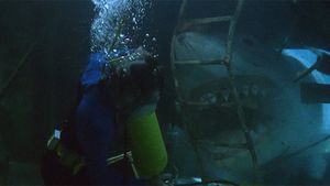 Jaws: The Revenge's poster