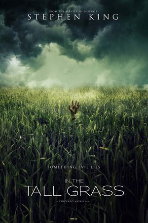 In the Tall Grass's poster