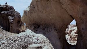 Planet of the Apes's poster