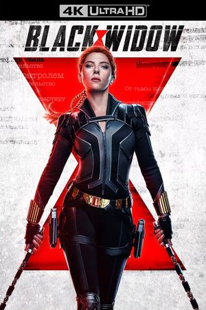 Black Widow's poster