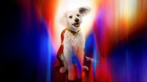 Superman's poster