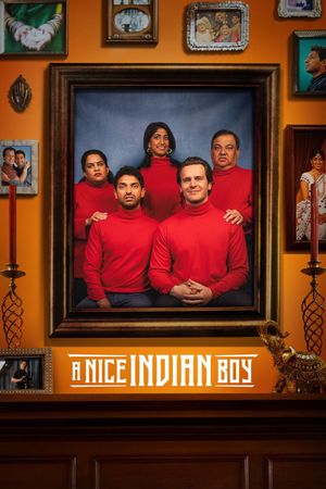 A Nice Indian Boy's poster