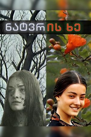 The Wishing Tree's poster
