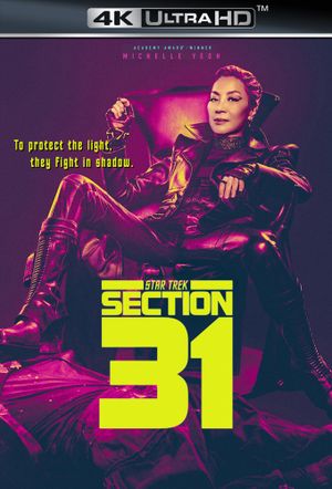 Star Trek: Section 31's poster