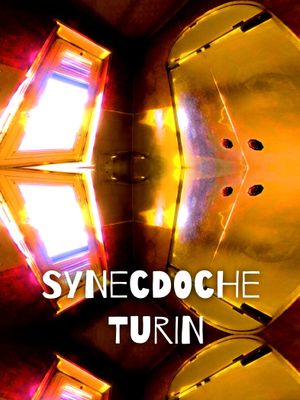 Synecdoche Turin's poster