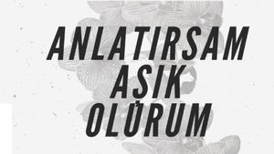 Anlatirsam Asik Olurum's poster