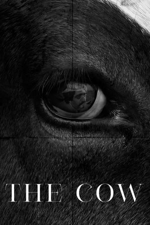 The Cow's poster