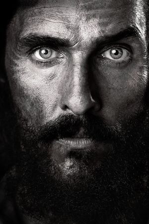 Free State of Jones's poster