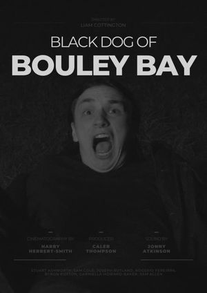 Black Dog of Bouley Bay's poster