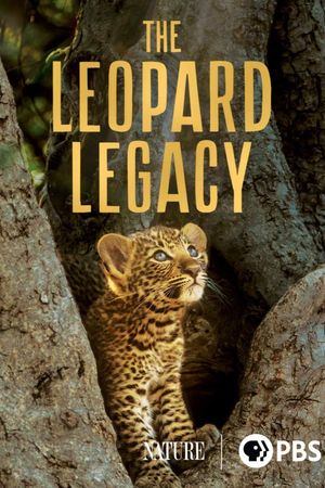 The Leopard Legacy's poster