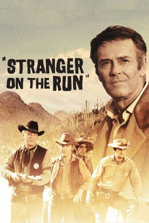 Stranger on the Run's poster