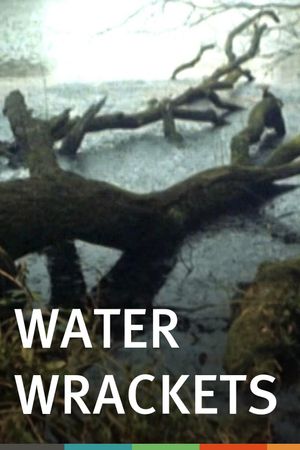 Water Wrackets's poster