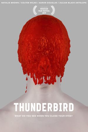 Thunderbird's poster