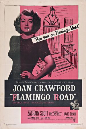 Flamingo Road's poster
