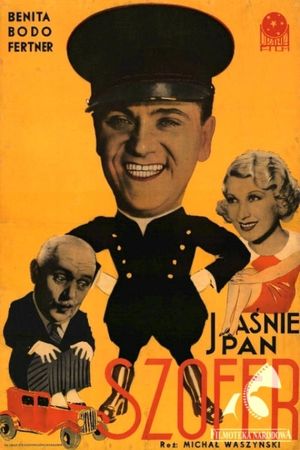 Jasnie pan szofer's poster