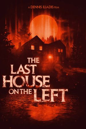 The Last House on the Left's poster