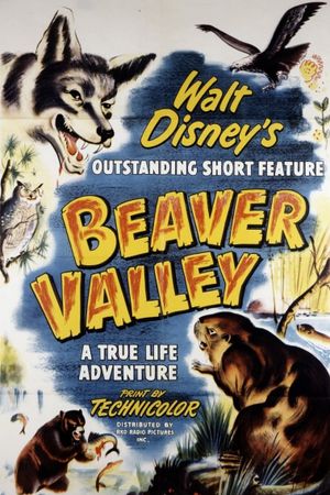 Beaver Valley's poster image