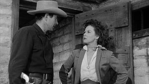 Rawhide's poster