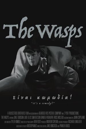 The Wasps's poster