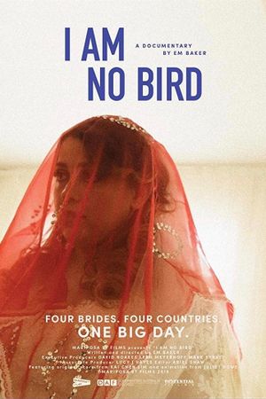 I Am No Bird's poster