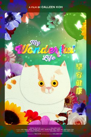 My Wonderful Life's poster