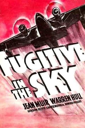 Fugitive in the Sky's poster