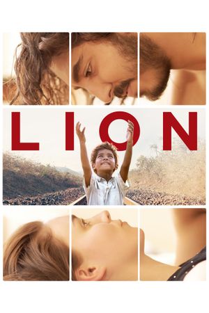 Lion's poster