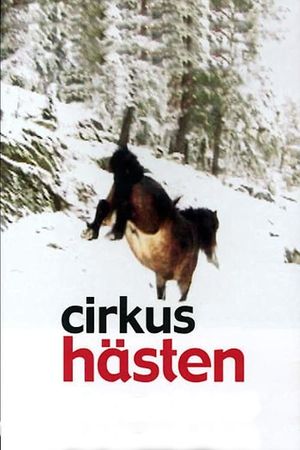 Cirkushästen's poster