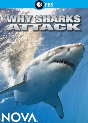 Why Sharks Attack's poster