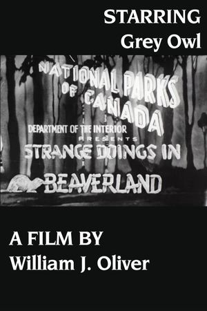 Strange Doings in Beaverland's poster
