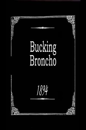 Bucking Broncho's poster