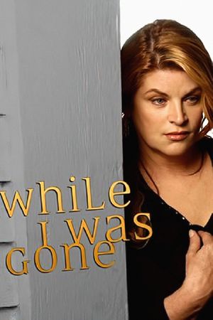 While I Was Gone's poster image