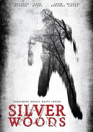 Silver Woods's poster image