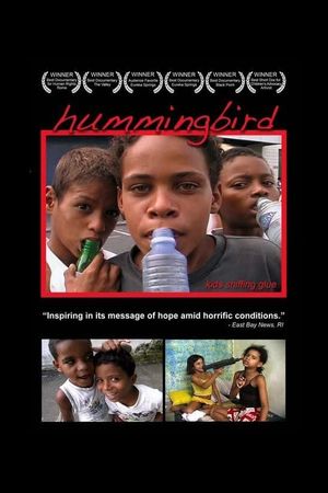 Hummingbird's poster