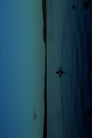 THE WATERS's poster