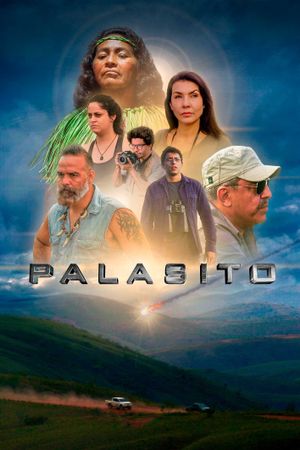 Pallasite's poster