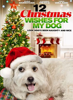 12 Wishes of Christmas's poster