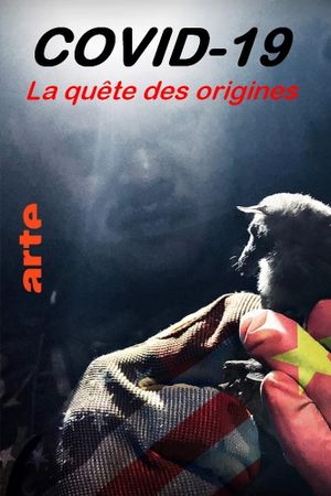 Covid-19, la quête des origines's poster