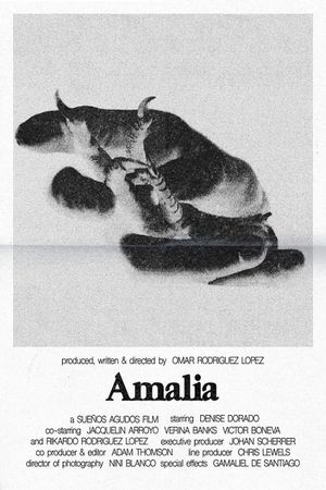 Amalia's poster