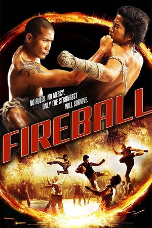 Fireball's poster