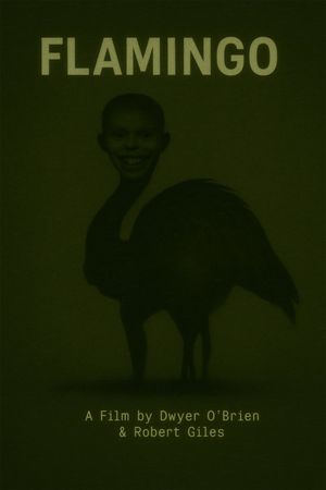 Flamingo's poster