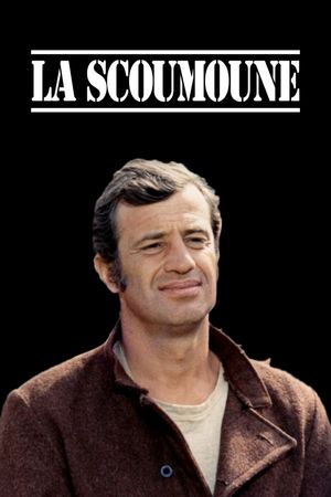 Scoumoune's poster