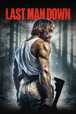 Last Man Down's poster