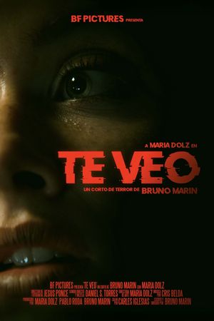Te Veo's poster