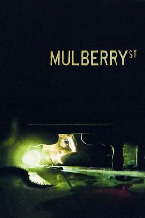 Mulberry St's poster