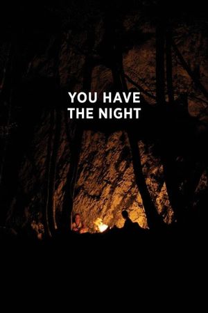 You Have the Night's poster