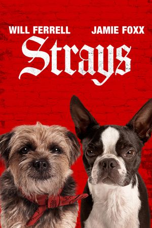 Strays's poster