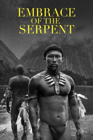 Embrace of the Serpent's poster
